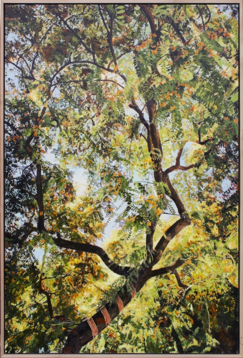 Tipu Tree by Connor McManus | Gel transfer and acrylic on birch panel, in a maple floater frame. Tipu Tree